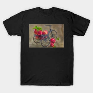 The Pomegranate and the cart T-Shirt